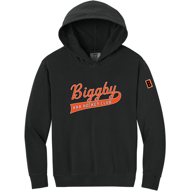 Biggby AAA Youth Lightweight Hooded Sweatshirt