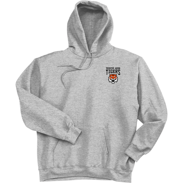 Princeton Jr. Tigers Ultimate Cotton - Pullover Hooded Sweatshirt