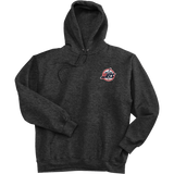 Metro Jets Ultimate Cotton - Pullover Hooded Sweatshirt