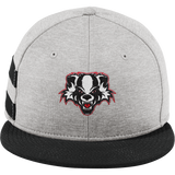 Scary Badgers New Era Shadow Heather Striped Flat Bill Snapback Cap