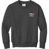 Wash U Youth Core Fleece Crewneck Sweatshirt