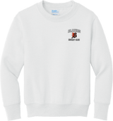 Philadelphia Blazers Youth Core Fleece Crewneck Sweatshirt